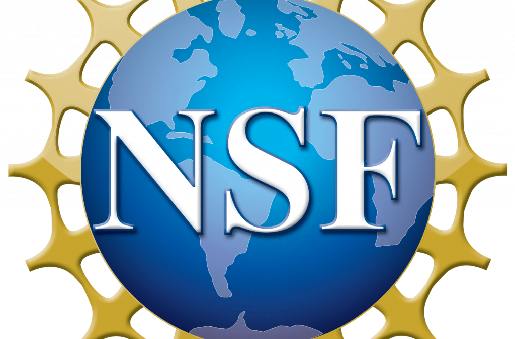 Innovision Awarded NSF Grant